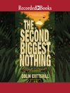 Imagen de portada para The Second Biggest Nothing